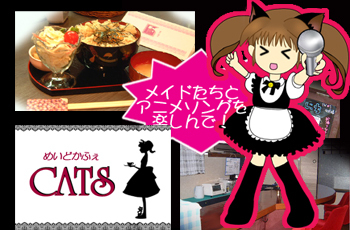 Meido Cafe CATS Kafe Taimu