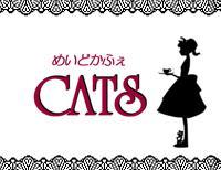 CATS Ba-Taimu photo 3