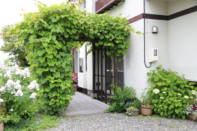 サノワ サロンドテ（sanowa salon de the） - 帯広（カフェ）の写真