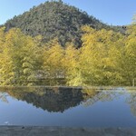 京料理 紙屋川 - 