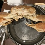 蟹・河豚專門 蟹吉WEST 難波道頓堀 - この蟹を使いますね！まだ少し凍っていました。