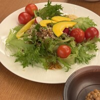 スプレンディード - 