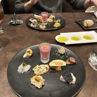 オッジ ダルマット 西麻布店 - 