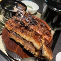 炭焼きうなぎ・かしわ 登河 - 