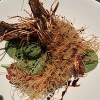 クインチチェントラーレ - 