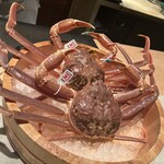 かにじぇんぬ 北新地 - 