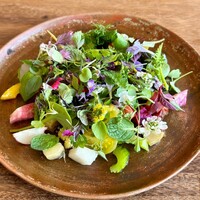 ヴィラ・デラ・パーチェ - 