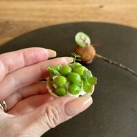 ヴィラ・デラ・パーチェ - 