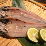 炭火焼肉 あもん - めひかり：珍しい魚介類も控えています