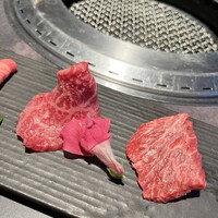東京焼肉 平城苑 銀座5丁目店 - 