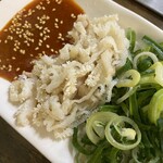 お玉のキャベツ - 