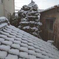 丹波篠山　近又 - 朝起きて、ちょつとビックリ！