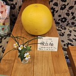 カフェサブヒロ - 