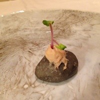 ルカンケ - 石にみたてたパンとリエット