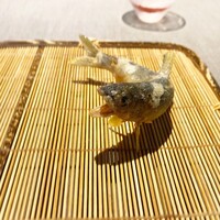 茶禅華 - 