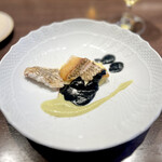 ビステリア サトッロ - 