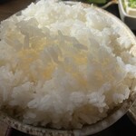 ウオゴコロ - 特盛ご飯