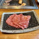 大東園 本店 - ランプ（ハーフ）