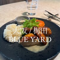 BLUE YARD - 