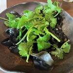 ビアカフェ ホップマン - 