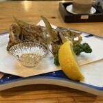 魚将　さかなちゃん - 