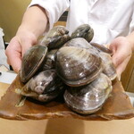 澤田 - 鹿島灘の蛤