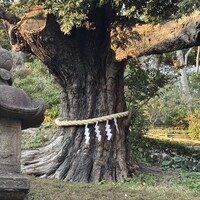石焼料理 木春堂 - 