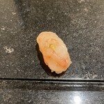 寿司・割烹 鈴政 - 甘エビ