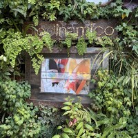 biodinamico - 