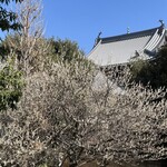長命寺 桜もち - 
