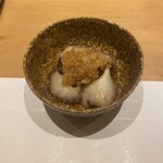 288085324 - 赤ナマコ