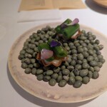 デルフィーナ - 