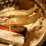 しのはら - 岐阜産鮎