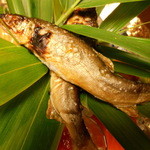 しのはら - 岐阜産鮎