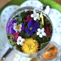 オールデイダイニング オアシスガーデン - 