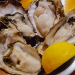 オイスター酒場 ぴゅん - 生牡蠣4種～♪