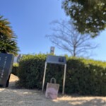 スターバックスコーヒー - 