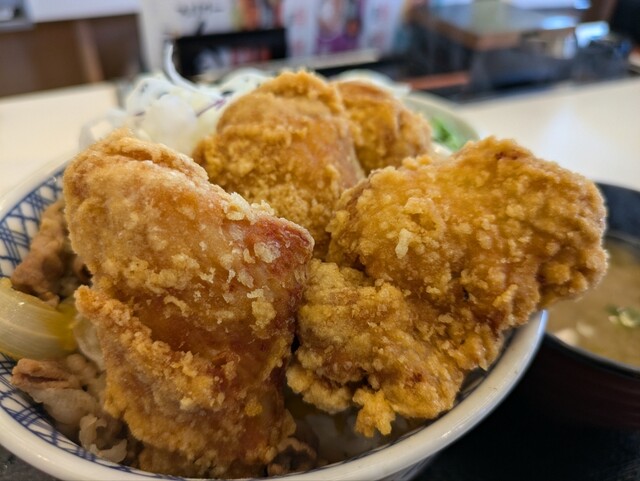 Yoshinoya Irokyugosen Sakurai Ten