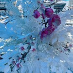 HAUTE COUTURE CAFE OMOTESANDO - 