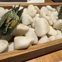 ル スプートニク - 