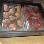 鮨shizuku 西天満 - 