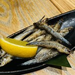 ブランニュー酒場カツオとさくら - 