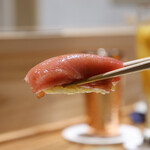 鮨ト酒肴 富かわ - ［握り］本鮪の中トロ