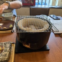 アカミヤコウシ - 