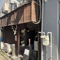 アカミヤコウシ - 