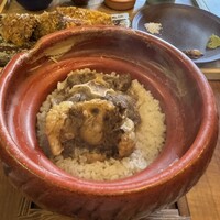 アカミヤコウシ - 