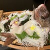 志摩ビーチホテル - 250227木　三重　志摩ビーチホテル　船盛り　鯛姿造り、カンパチ