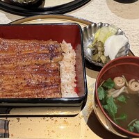 うなぎ 目白ぞろ芽 - 