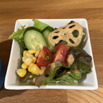 レインディア - 