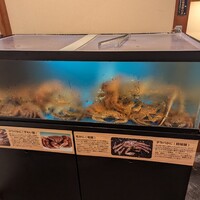 かに道楽 横浜店 - 